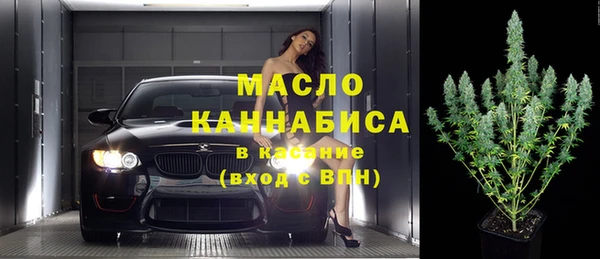 скорость Ельня