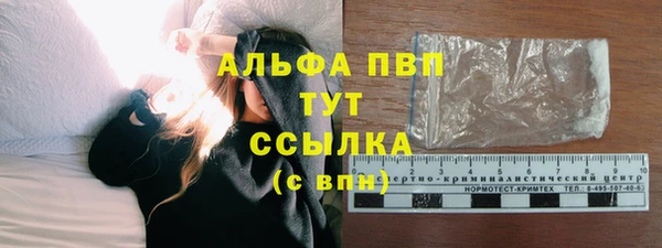 скорость Ельня