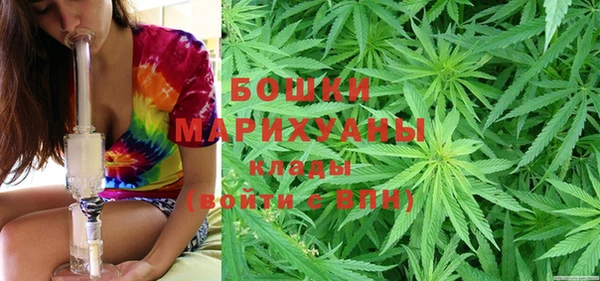 скорость Ельня