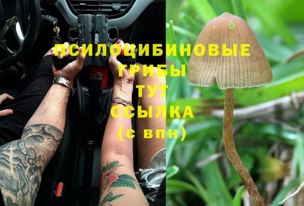 МДПВ Елизово