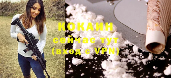 скорость Ельня