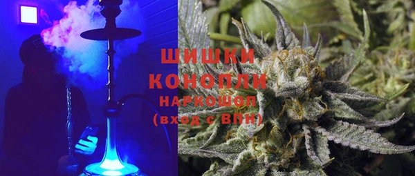скорость Ельня