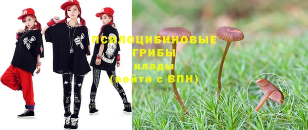 герыч Елабуга